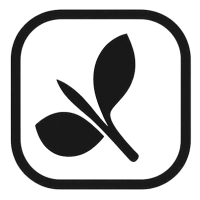 ChatGPT_Image_25_oct_2025__08_08_46_p.m.-removebg-preview